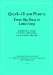 Plasma Quark-Gluon